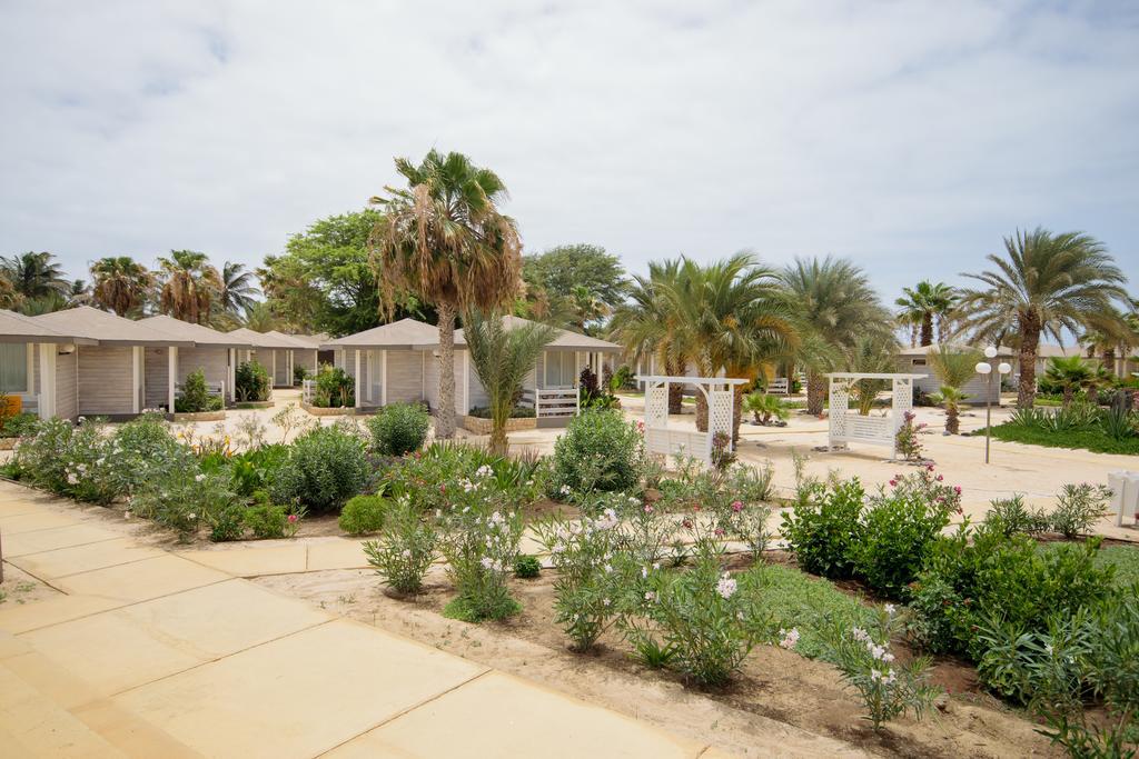 Oasis Belorizonte Santa Maria